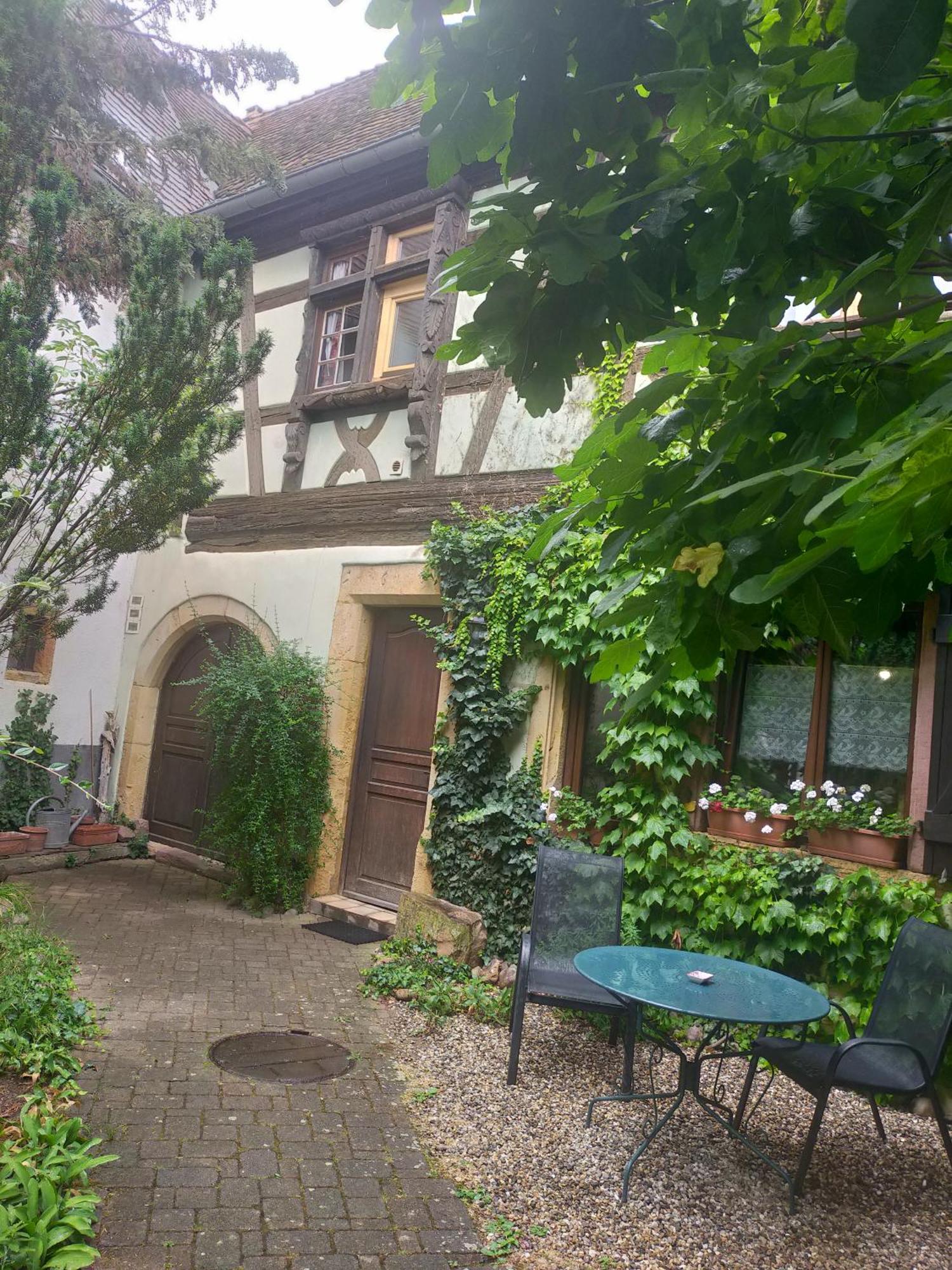 Studio La Grenouillere Turckheim Exterior photo